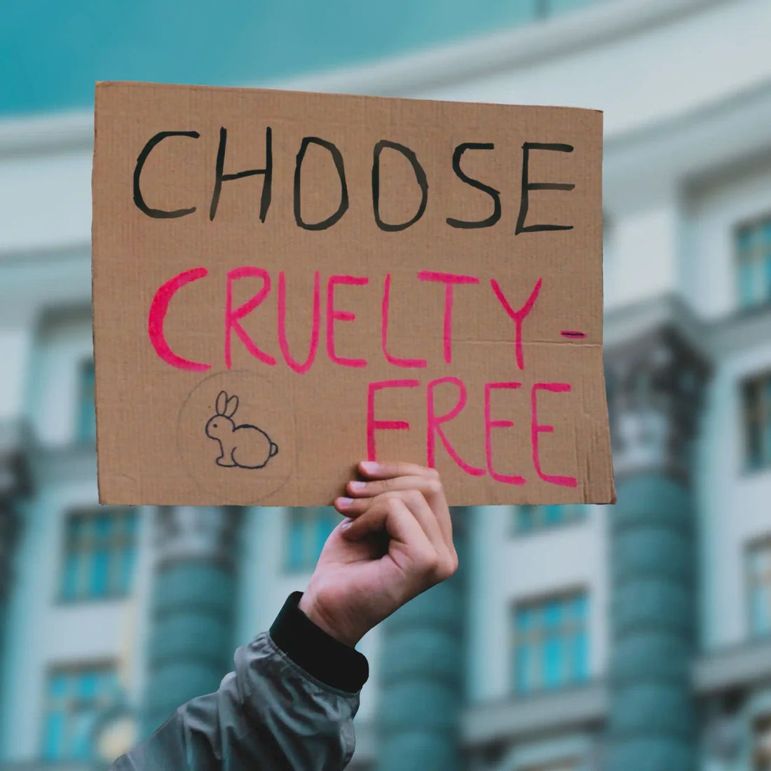 Bring Care to Ethics: Cruelty Free