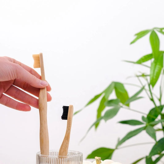 Benefits of Using a Bamboo Toothbrush