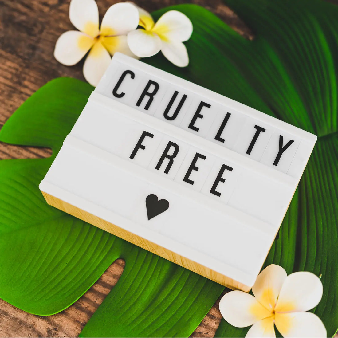 Cruelty Free Teeth Cleaning